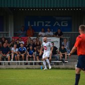 Bild_(86_von_126).jpg