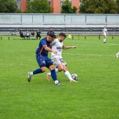 Bild_(14_von_154).jpg