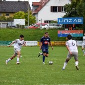 Bild_(123_von_154).jpg