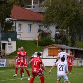 Bild_(21_von_180).jpg