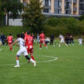 Bild_(32_von_180).jpg