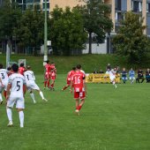 Bild_(35_von_180).jpg