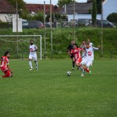 Bild_(68_von_180).jpg