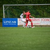 Bild_(111_von_180).jpg