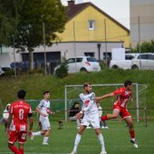 Bild_(147_von_180).jpg