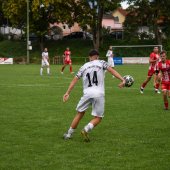 Bild_(151_von_180).jpg