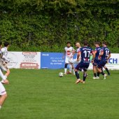 Bild_(30_von_172)_2.jpg