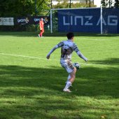 Bild_(61_von_172)_2.jpg