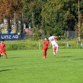 Bild_(11_von_171).jpg