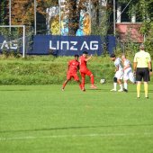Bild_(15_von_171).jpg