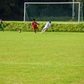 Bild_(36_von_171).jpg