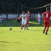 Bild_(92_von_171).jpg