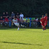 Bild_(93_von_171).jpg