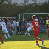 Bild_(151_von_171).jpg