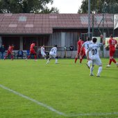 Bild_(79_von_204).jpg