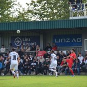 Bild_(83_von_204).jpg