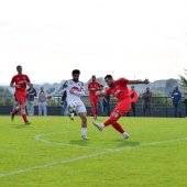 Bild_(87_von_204).jpg