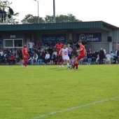 Bild_(89_von_204).jpg