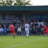 Bild_(121_von_204).jpg