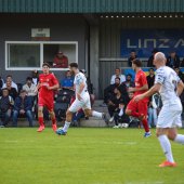 Bild_(150_von_204).jpg