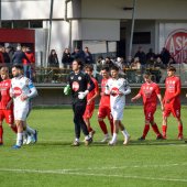 Bild_(3_von_177)_2.jpg