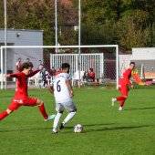 Bild_(13_von_177)_2.jpg