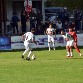 Bild_(23_von_177)_2.jpg