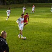 Bild_(45_von_177)_2.jpg