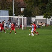 Bild_(67_von_177)_2.jpg