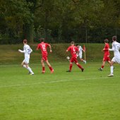 Bild_(149_von_177)_2.jpg