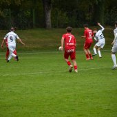 Bild_(172_von_177)_2.jpg
