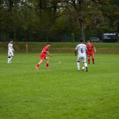 Bild_(174_von_177)_2.jpg