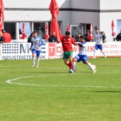 Bild_(27_von_110)_2.jpg