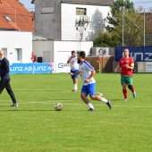Bild_(48_von_110)_2.jpg