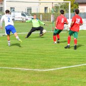 Bild_(50_von_110)_2.jpg