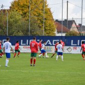 Bild_(74_von_110)_2.jpg