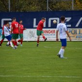 Bild_(87_von_110)_2.jpg