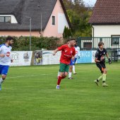 Bild_(89_von_110)_2.jpg