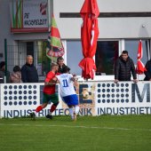 Bild_(110_von_110)_2.jpg