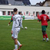 Bild_(56_von_163)_2.jpg