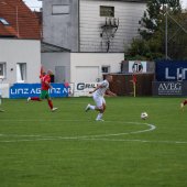 Bild_(65_von_163)_2.jpg
