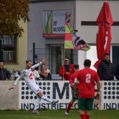 Bild_(69_von_163)_2.jpg