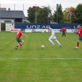 Bild_(72_von_163)_2.jpg