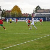 Bild_(80_von_163)_2.jpg
