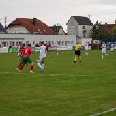 Bild_(81_von_163)_2.jpg