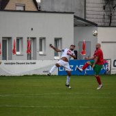 Bild_(93_von_163)_2.jpg