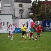 Bild_(95_von_163)_2.jpg