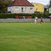 Bild_(97_von_163)_2.jpg