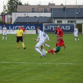 Bild_(110_von_163)_2.jpg