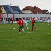 Bild_(111_von_163)_2.jpg